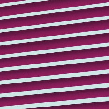 Purple Blinds Edinburgh