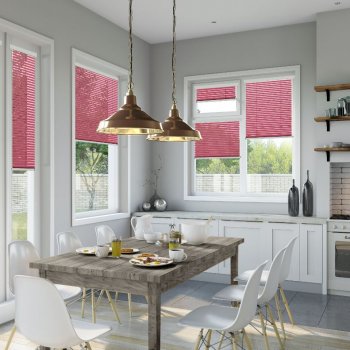 Venetian Blinds