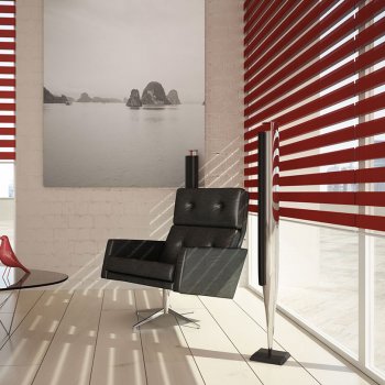 Day _ Night Blinds Company Glasgow