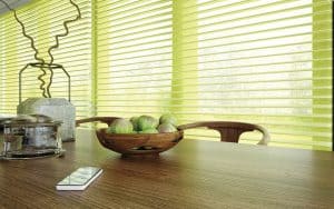 Visage Blinds Green
