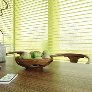 Visage Blinds Green