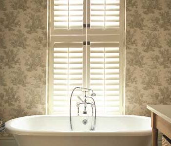 Blinds in Bathroom Window