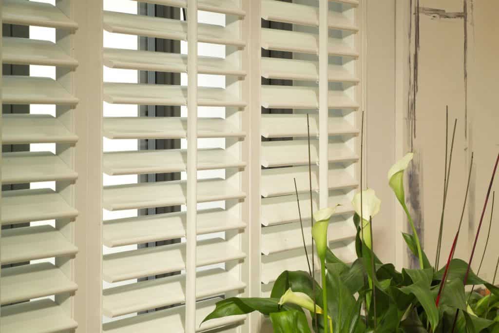 White Shutters Motherwell