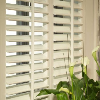 White Shutters Motherwell